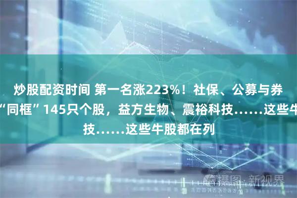 炒股配资时间 第一名涨223%！社保、公募与券商上半年“同框”145只个股，益方生物、震裕科技……这些牛股都在列