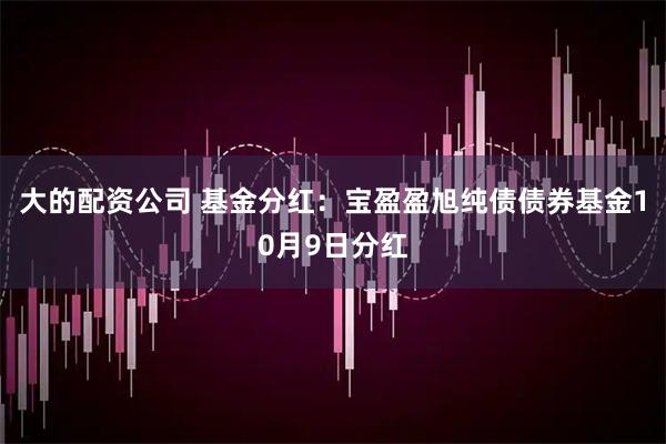 大的配资公司 基金分红：宝盈盈旭纯债债券基金10月9日分红